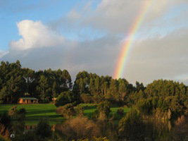 Lavender And Berry Farm - Accommodation QLD 3