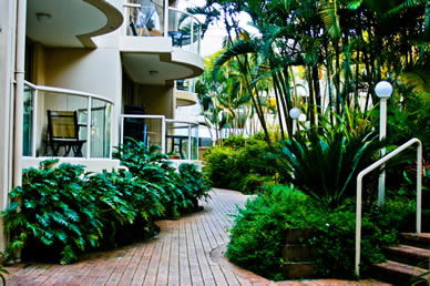 Miami Beachside Apartments - Accommodation QLD 9