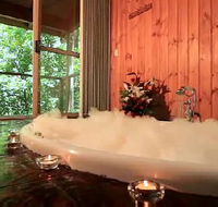 Tree Houses Of Montville - Accommodation QLD