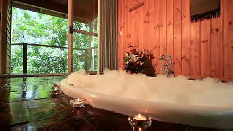 Tree Houses Of Montville - Accommodation QLD 0