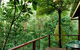 Tree Houses Of Montville - thumb 3