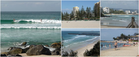 Blue Pelican Motor Inn - Accommodation QLD 3