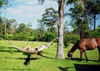 Clybucca NSW Accommodation QLD