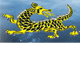 Dragon Phoenix Motel amp Restuarant - Accommodation QLD