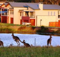 Grand Mercure The Vintage Hunter Valley - Accommodation QLD