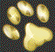 The Pets Hotel - Accommodation QLD