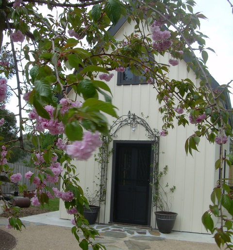 Silverleaf Cottage - Accommodation QLD 0