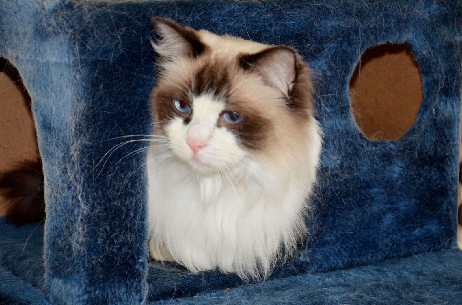 Canning Vale WA Accommodation QLD