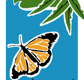 Wanderers Retreat - Accommodation QLD