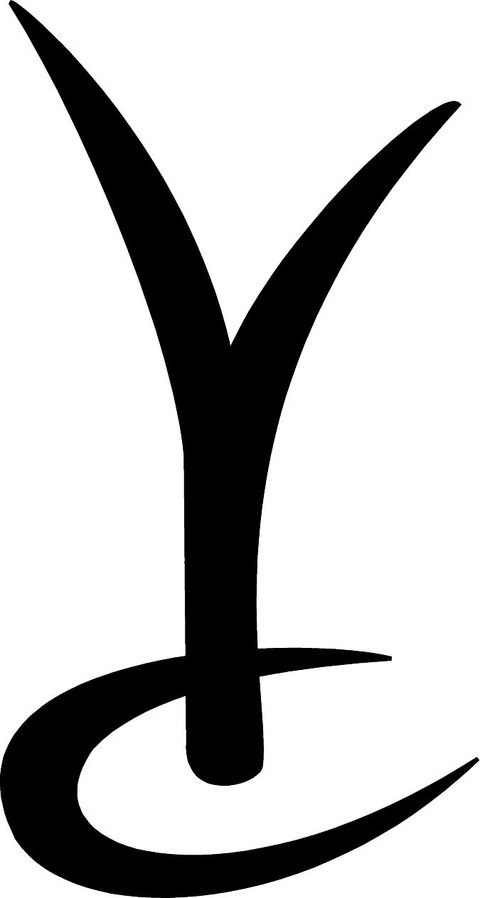 The Yacht Club Hotel - Accommodation QLD 1