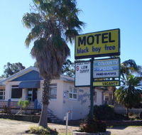Blackboy Tree Motel - Accommodation QLD