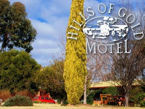 Hills Of Gold Motel - Accommodation QLD 3