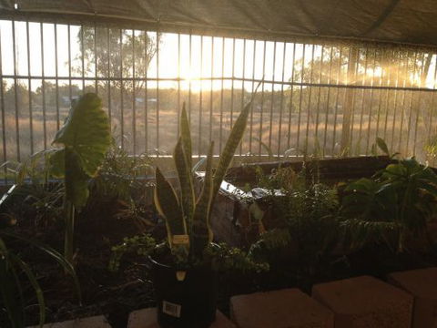 Cityside Accommodation | Mt Isa - Accommodation QLD 5