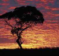 Kimba Caravan Park amp Motel - Accommodation QLD