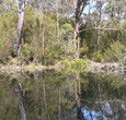 Sanctuary House Resort Motel - Healesville - Accommodation QLD 5