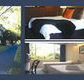 The Albany - Accommodation QLD