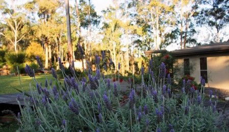 Wild Edge Retreat - Accommodation QLD 2