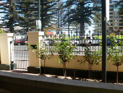 Grandview House Apartments - Accommodation QLD 5