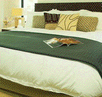 Sea Temple Resort  Spa - Accommodation QLD