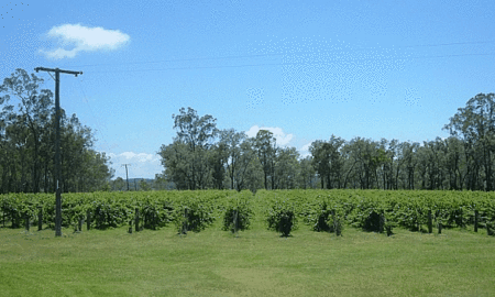 Copper Country Motor Inn - Accommodation QLD 3