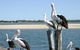 Tuncurry Sunset Motel - thumb 3