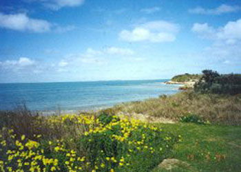 Southern Ocean Tourist Park - Accommodation QLD 1