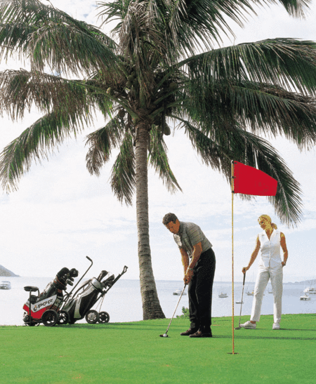 Adventure Island Whitsundays (south Molle Island) - Accommodation QLD 2