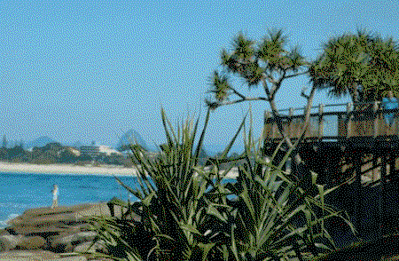 Pandanus Shores - Accommodation QLD 5