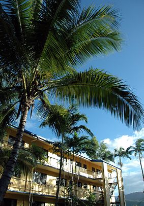 Palms At Trinity - Accommodation QLD 3