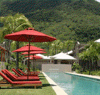 Mango Lagoon Resort And Wellness Spa - Accommodation QLD