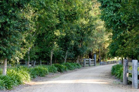 The Plantation - Accommodation QLD 0