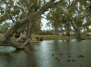 Bordertown Abode Parkland Motel - Accommodation QLD 2