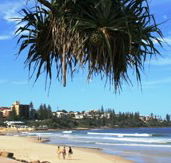 Mariners Caloundra - Accommodation QLD