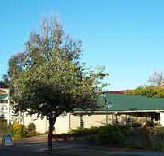 Riverland Motor Inn - Accommodation QLD