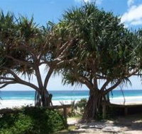 Pacific Surf Absolute Beachfront Apartments - Accommodation QLD