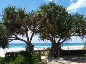 Pacific Surf Absolute Beachfront Apartments - Accommodation QLD 0