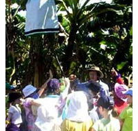 Beachfarm Farmstay - Accommodation QLD