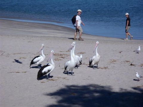 Kalbarri Accommodation Service - Accommodation QLD 5