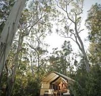 Paperbark Camp - Accommodation QLD