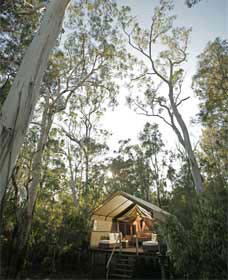 Paperbark Camp - Accommodation QLD 0