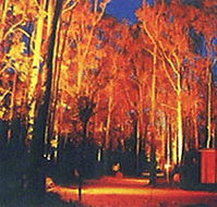 Dwellingup Chalet amp Caravan Park - Accommodation QLD