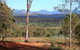 Destiny Boonah Eco Cottage And Donkey Farm - thumb 0