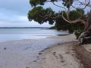 Stanley Lakeside Spa Cabins - Accommodation QLD 0