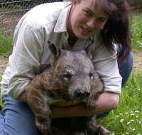 Fauna Australia Wildlife Retreat - Accommodation QLD