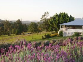 Dayboro QLD Accommodation QLD