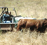 Bullo River Station - Accommodation QLD