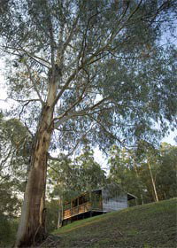 Noojee VIC Accommodation QLD