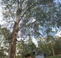 Outpost Restaurant - Accommodation QLD