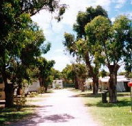 Bathers Paradise Caravan Park - Accommodation QLD