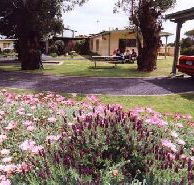 Brigadoon Holiday Units - Accommodation QLD
